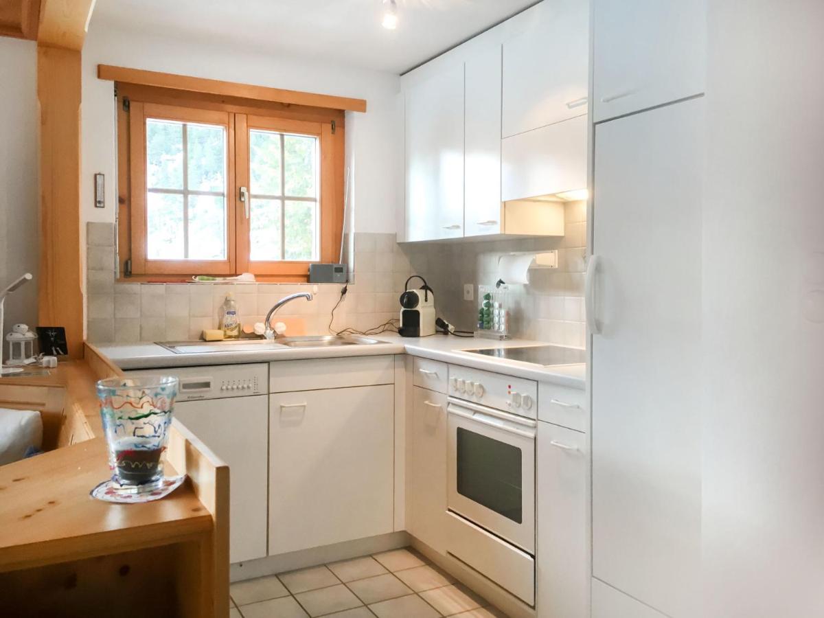 Apartment Haus Lotti Apt 203 By Interhome Schmitten  Zewnętrze zdjęcie